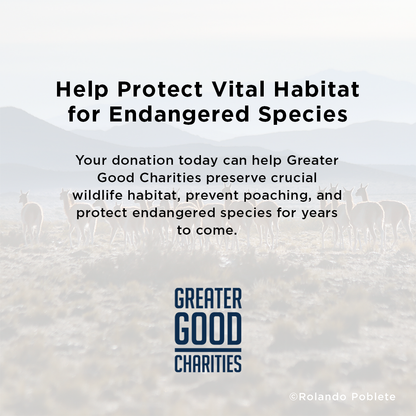 Help Protect Vital Habitat for Endangered Species