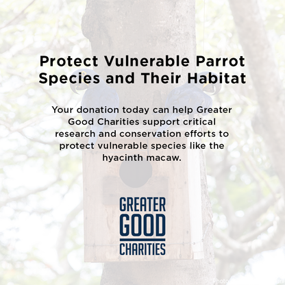 Help Save Vulnerable Parrots from Poachers and Deforestation