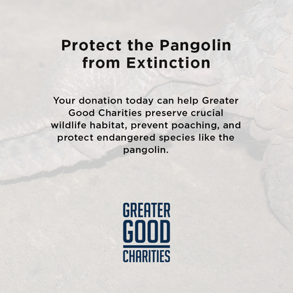 Protect the Pangolin from Extinction