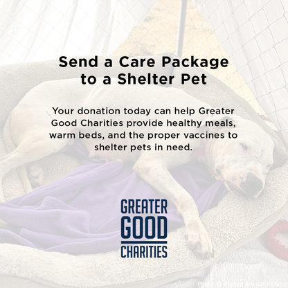 Send a Care Package to a Shelter Pet