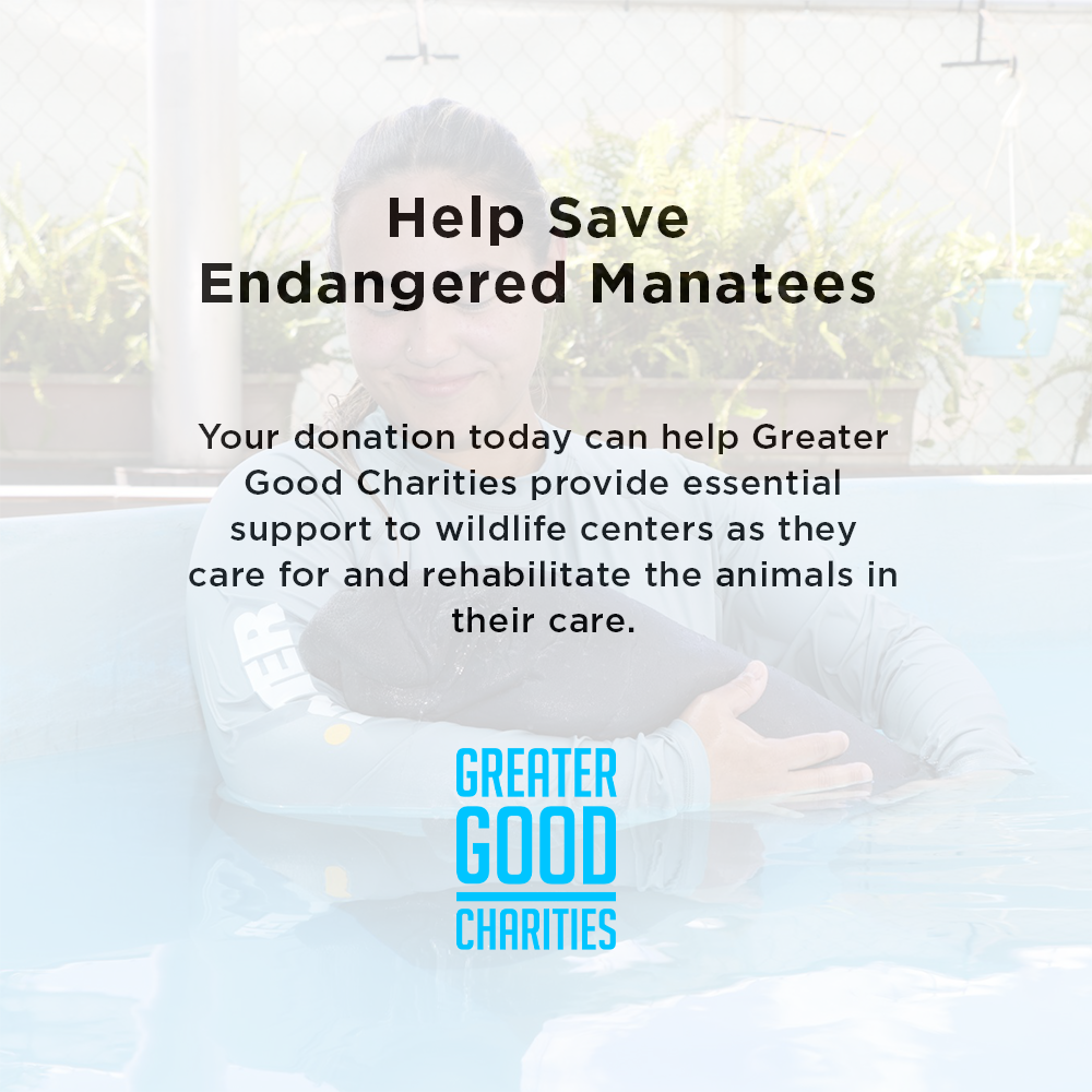 Help Save Endangered Manatees