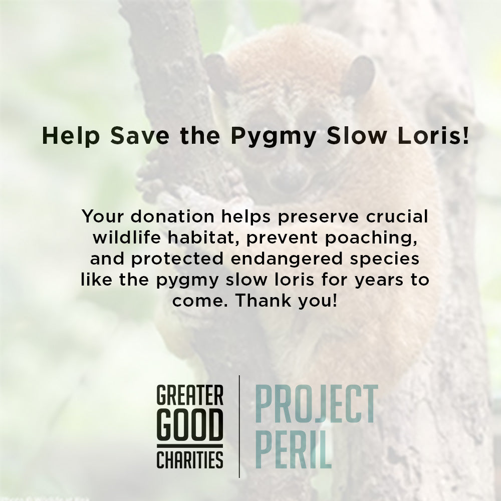 Project Peril: Protect the Pygmy Slow Loris from Critical Habitat Loss