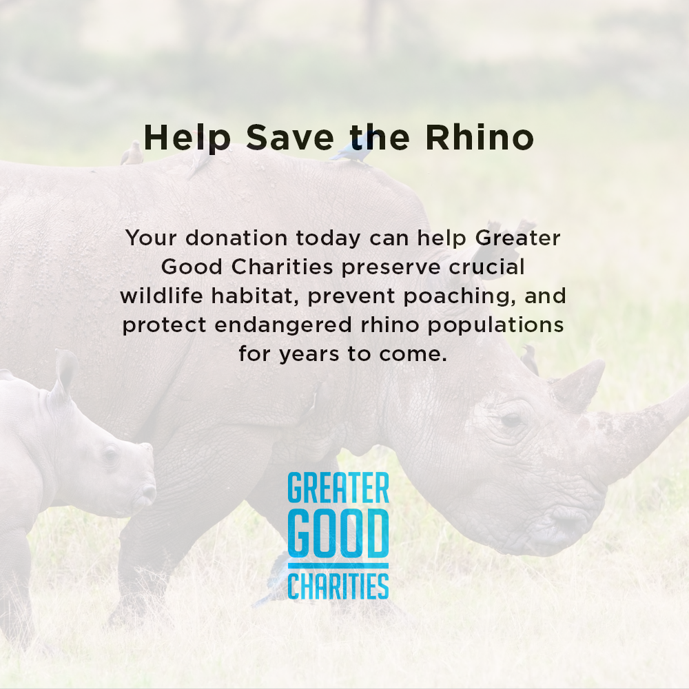 Help Save the Rhino From Extinction | The Animal Rescue Site