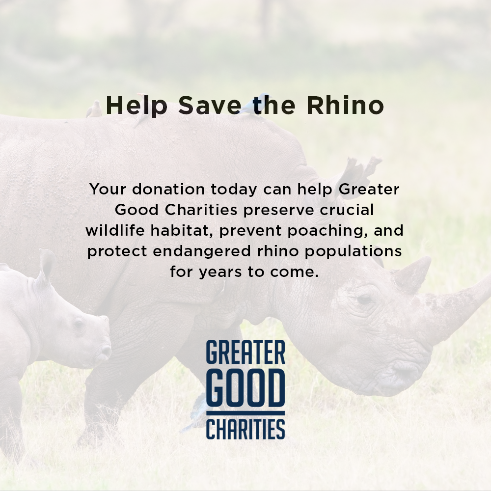Help Save the Rhino From Extinction | The Animal Rescue Site