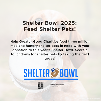 Shelter Bowl 2025: Feed Shelter Pets!