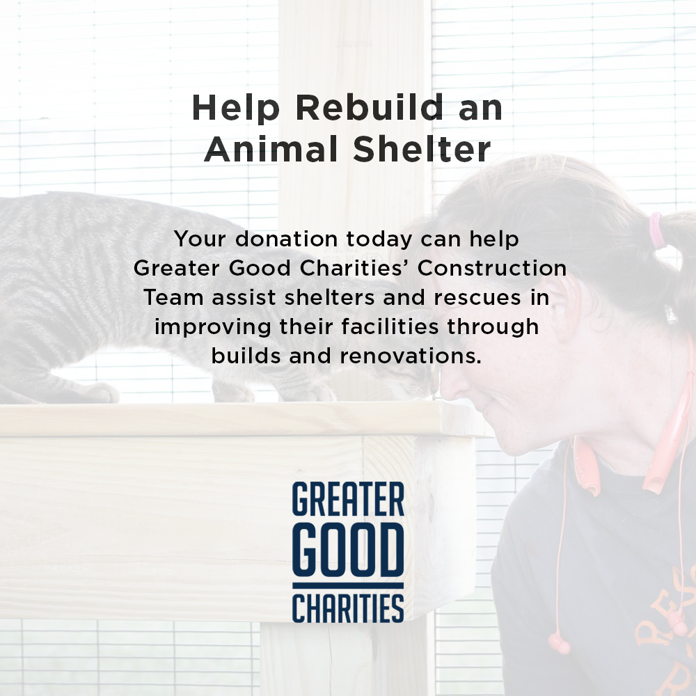 Help Rebuild an Animal Shelter to Enrich Their Residents' Lives