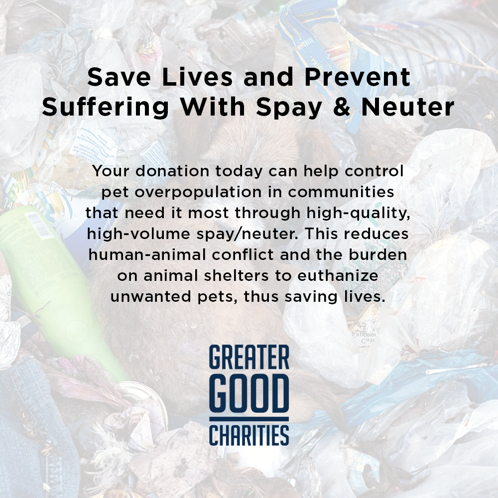 Save Lives and Prevent Suffering With Spay & Neuter