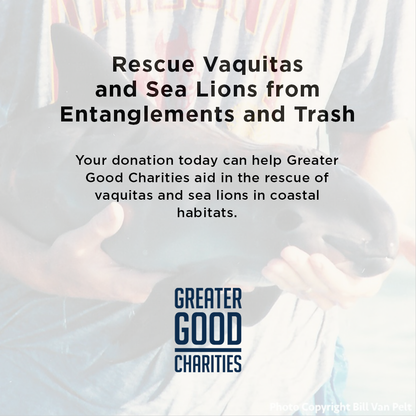 Rescue Critically Endangered Porpoises From Fishing Net Entanglements