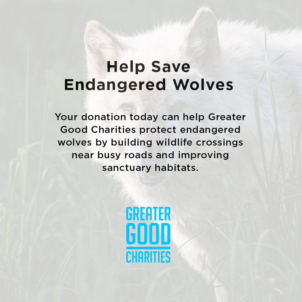 Help Save Endangered Wolves
