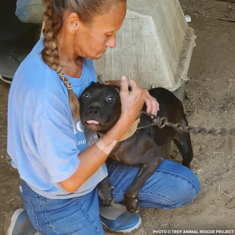 Woman hugging black pitbull