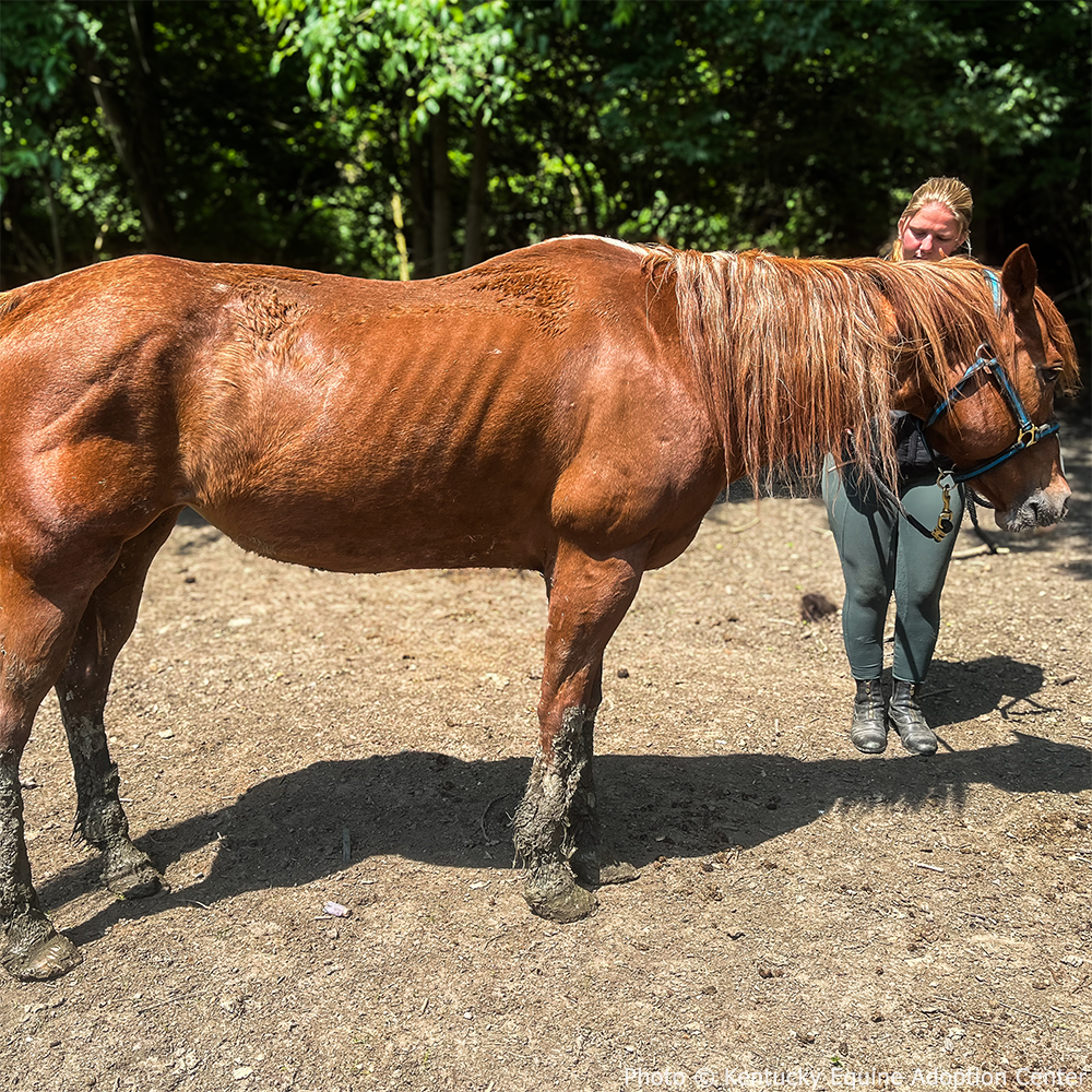 Support Annie as She Recovers From Malnourishment