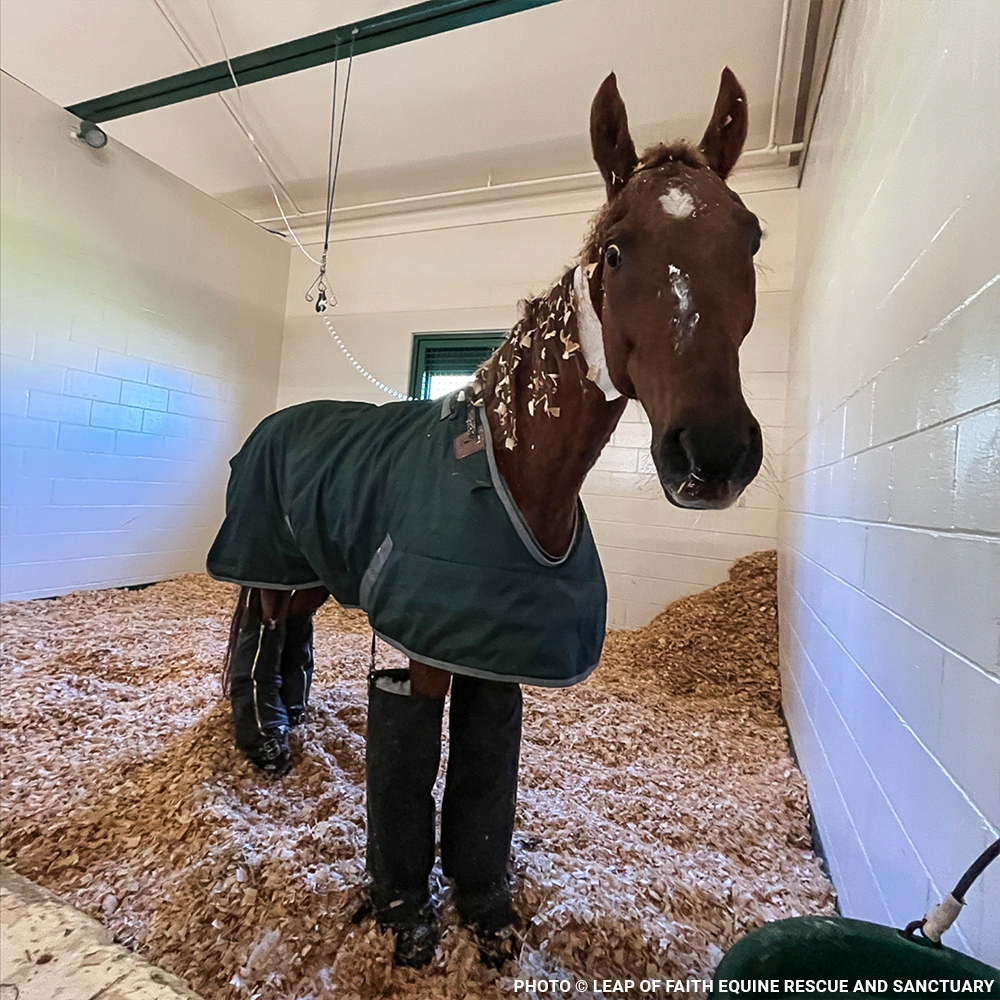 Convict Unable to Walk or Stand Without Excruciating Pain Needs Your Help