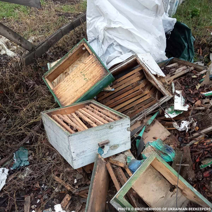 URGENT: Help Feed Starving Bees Affected by Georgia Wildfire