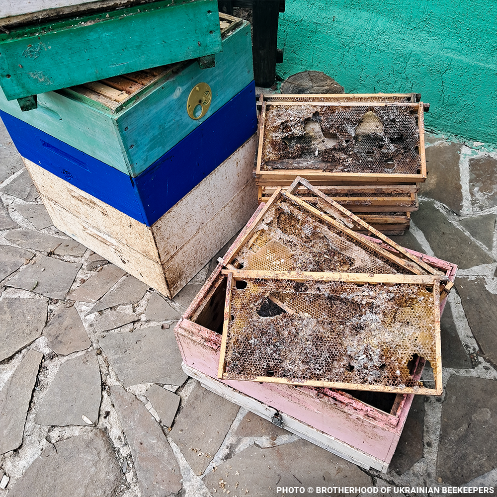 URGENT: Help Feed Starving Bees Affected by Georgia Wildfire