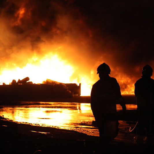 Send Urgent Aid to Families and Pets During Greece Wildfires