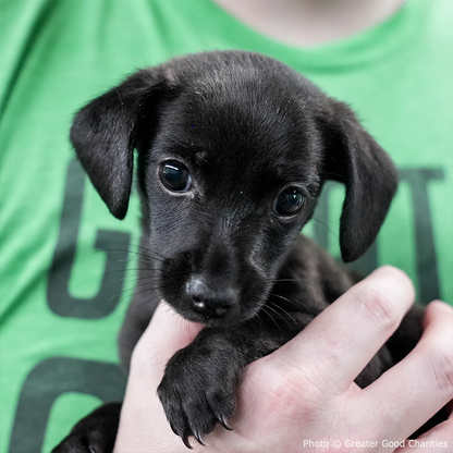 Help Where It's Most Needed