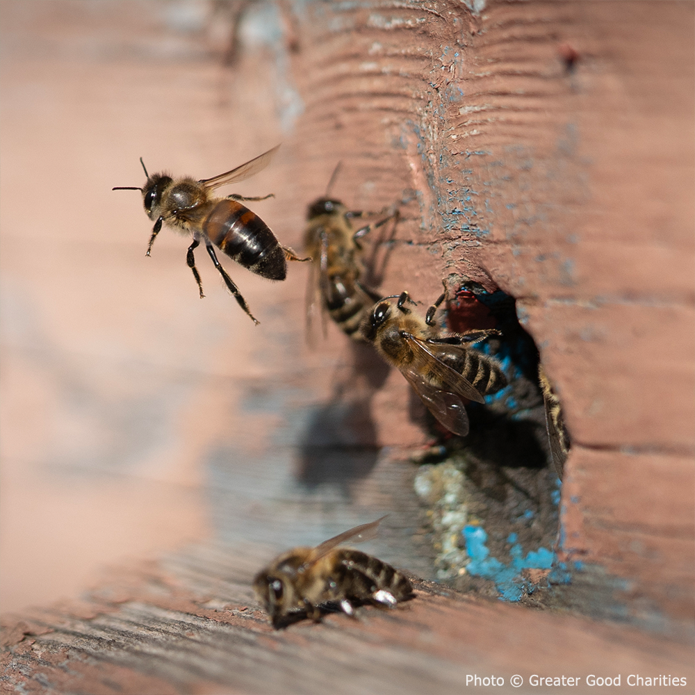 Help Where It's Most Needed