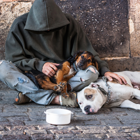 Help Homeless Americans and Their Pets