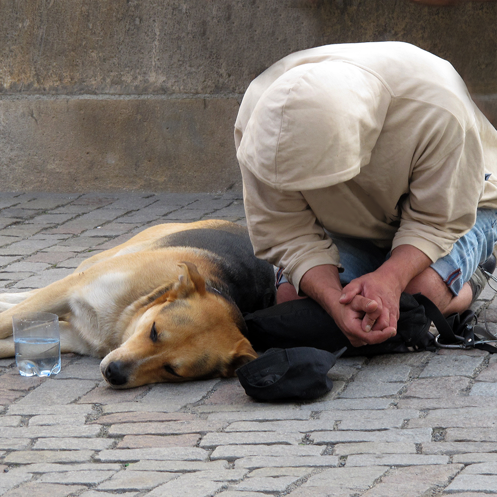 Help Homeless Americans and Their Pets