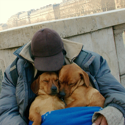 Help Homeless Americans and Their Pets