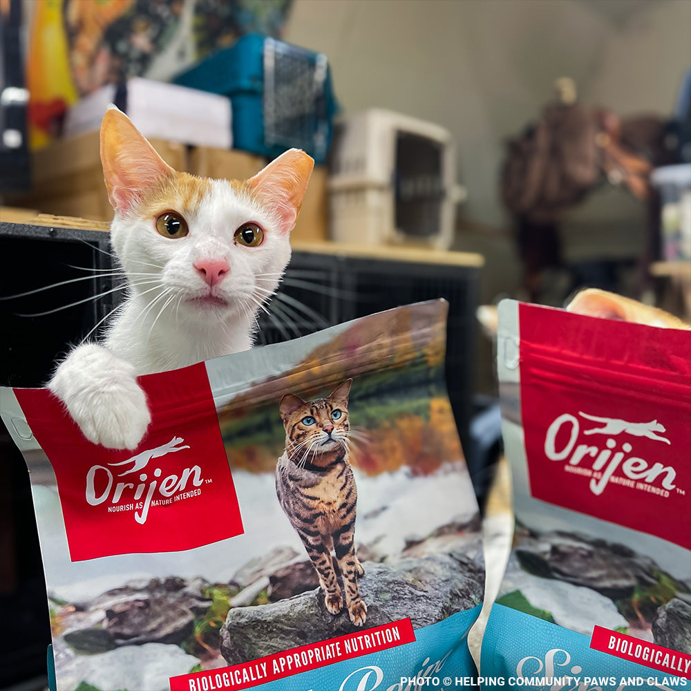 National Feed a Rescue Pet Week - Provide 3 Million Meals for Pets in Need