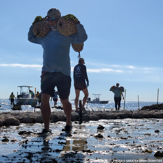 Restore Destroyed Shorelines & Coastal Habitats
