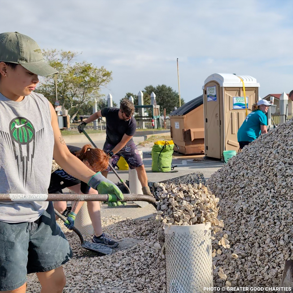Restore Destroyed Shorelines & Coastal Habitats