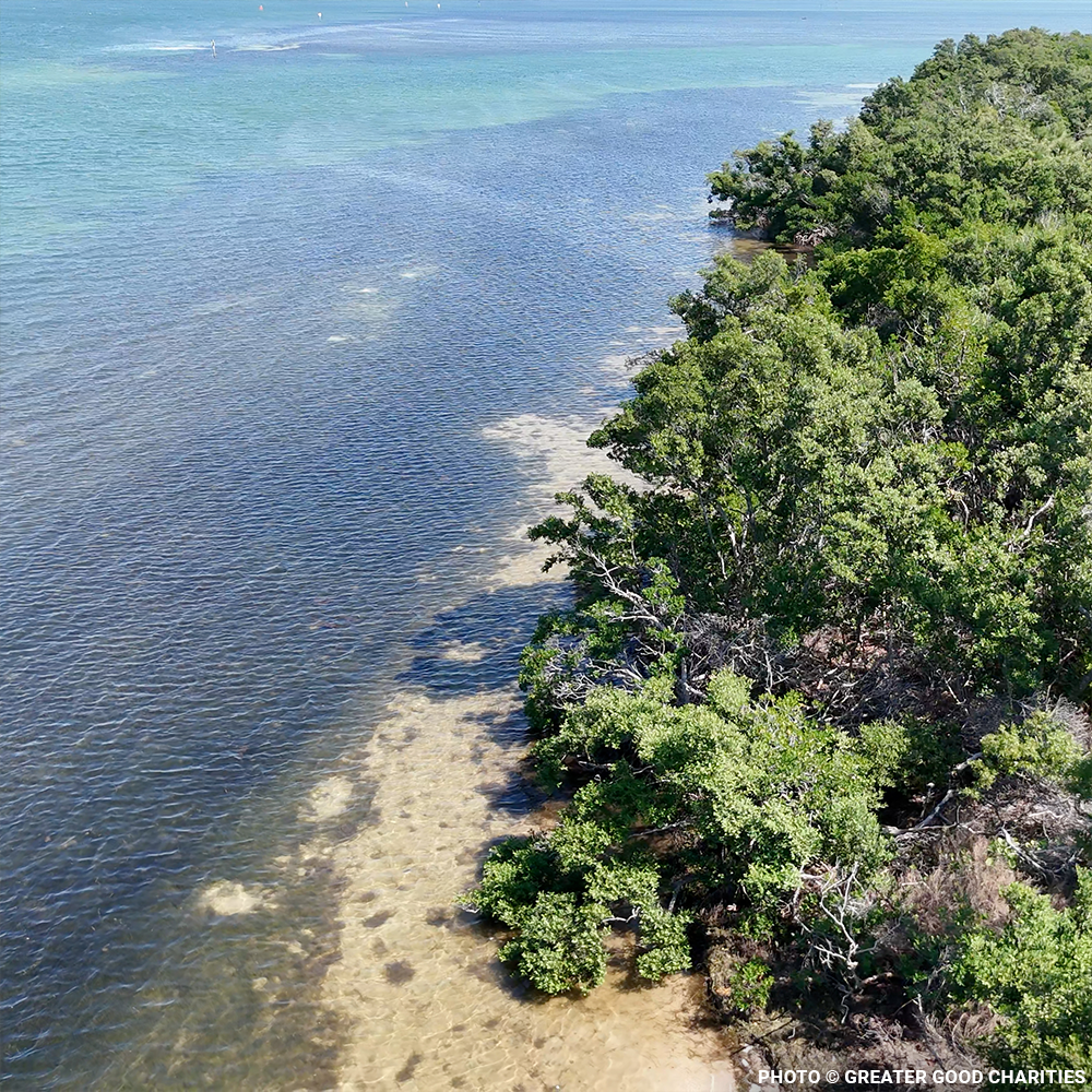 Restore Destroyed Shorelines & Coastal Habitats