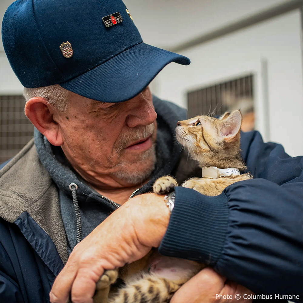 Donate to Greater Good Charitable Projects | The Animal Rescue Site