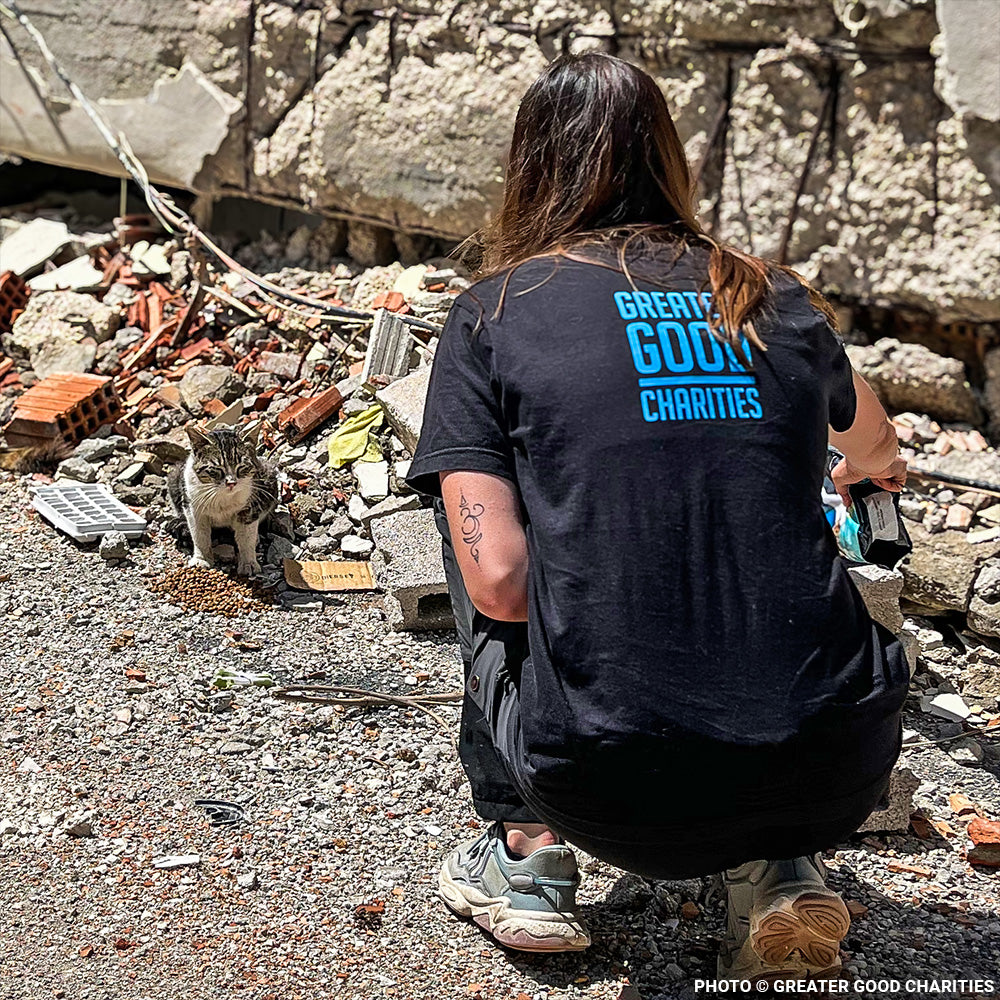Rush Emergency Aid to Earthquake Survivors in Venezuela