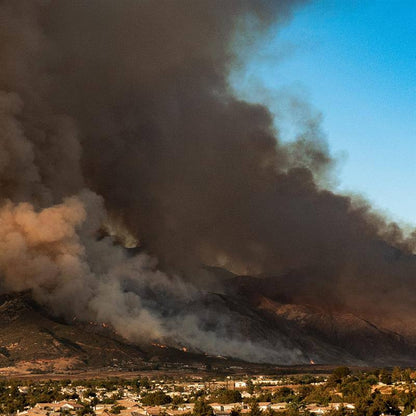 Urgent: Provide Emergency Medical Care to Pets Injured by Deadly Wildfires