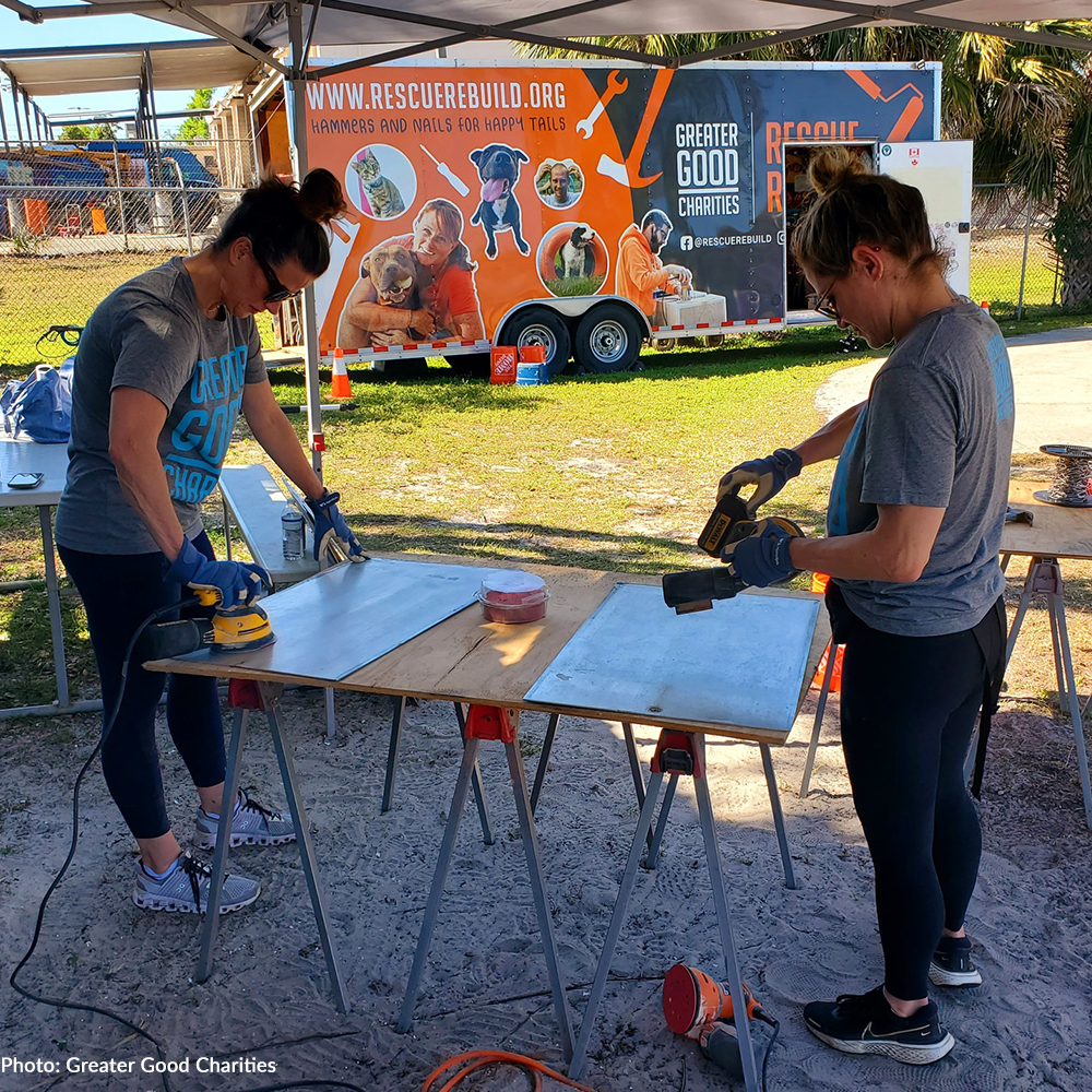 Help Rebuild an Animal Shelter to Enrich Their Residents' Lives