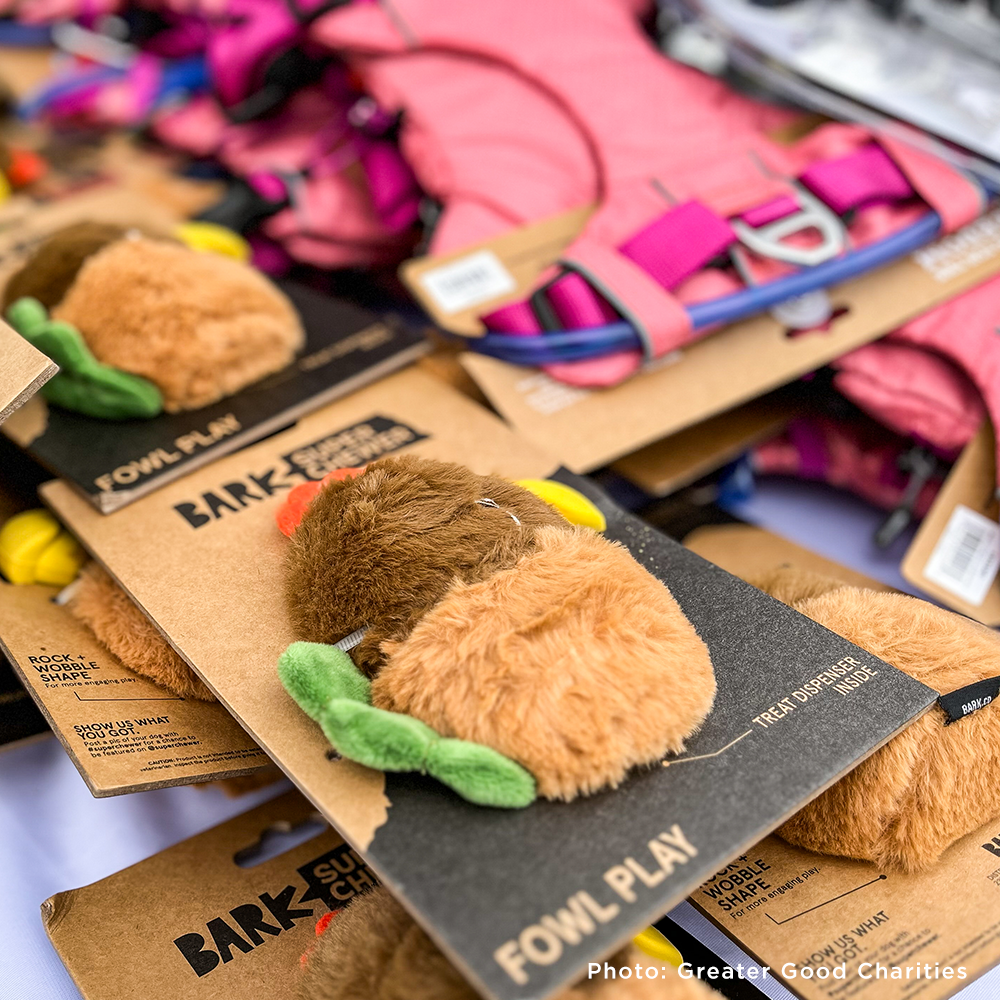 Send Winter Relief Kits to Veterans & Pets Experiencing Homelessness