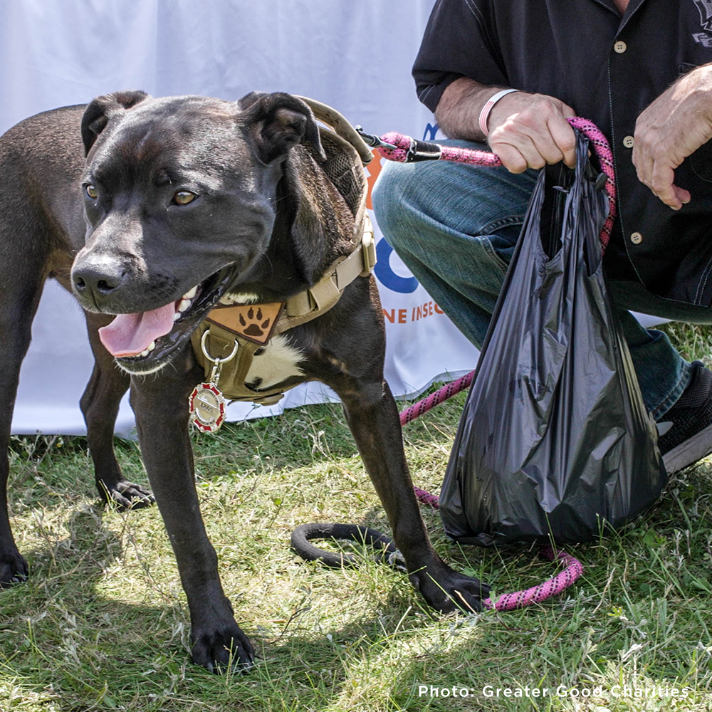 Send Winter Relief Kits to Veterans & Pets Experiencing Homelessness