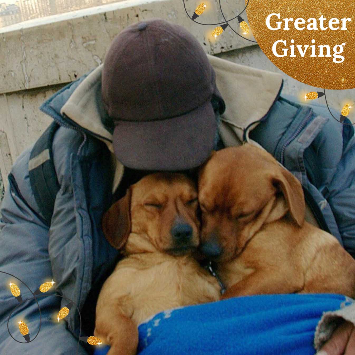 Send Critical Supplies to Veterans & Pets Experiencing Homelessness for the Holidays