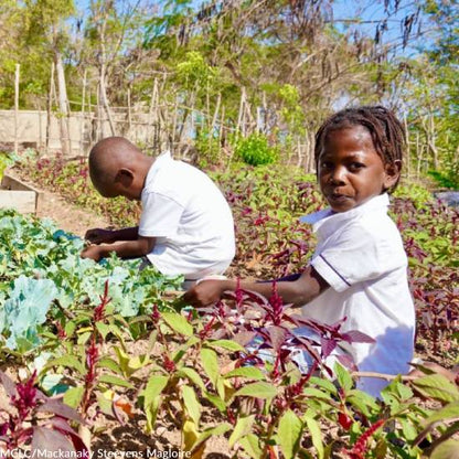 Hope in Crisis: Ensure Children in Haiti Eat Today