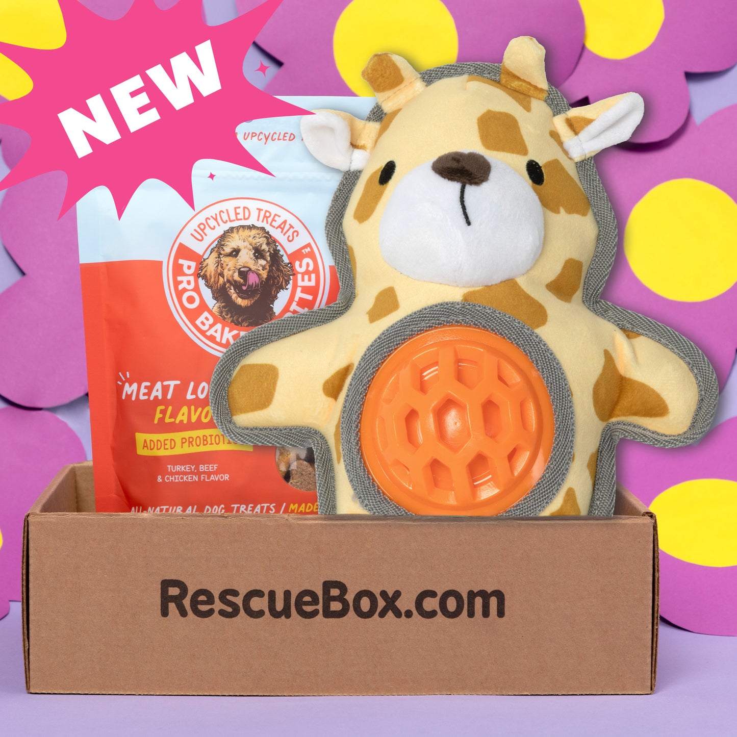 RescueBox&reg; - Spoil Your Pet, Help Animals In Need