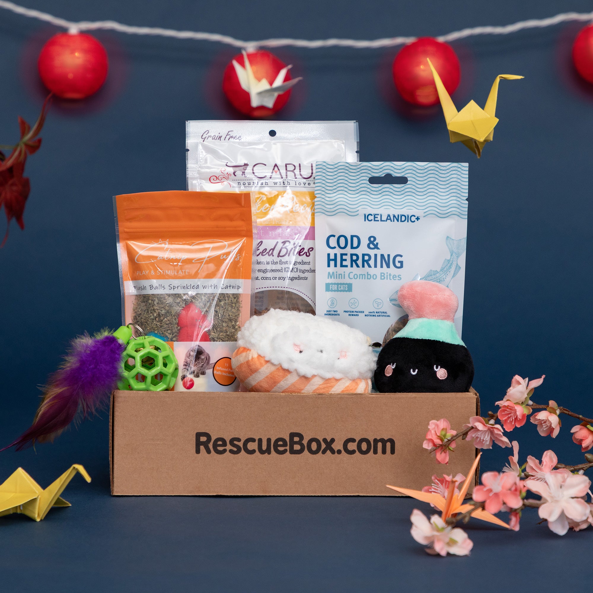 Clearance box pets Free Shipping RescueBox reg Spoil Your Pet Help Animals  In Need The Animal