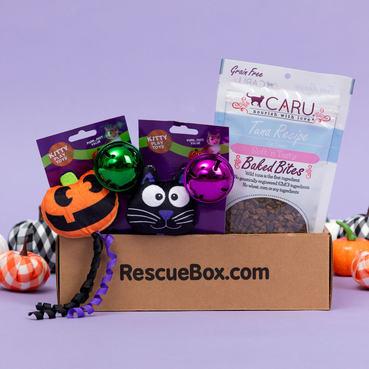 RescueBox&reg; - Spoil Your Pet, Help Animals In Need