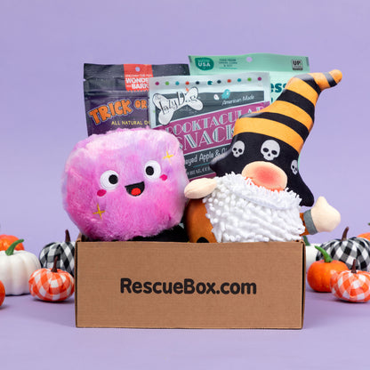 RescueBox&reg; - Spoil Your Pet, Help Animals In Need