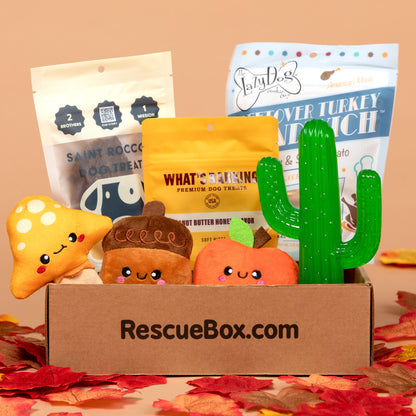 RescueBox&reg; - Spoil Your Pet, Help Animals In Need