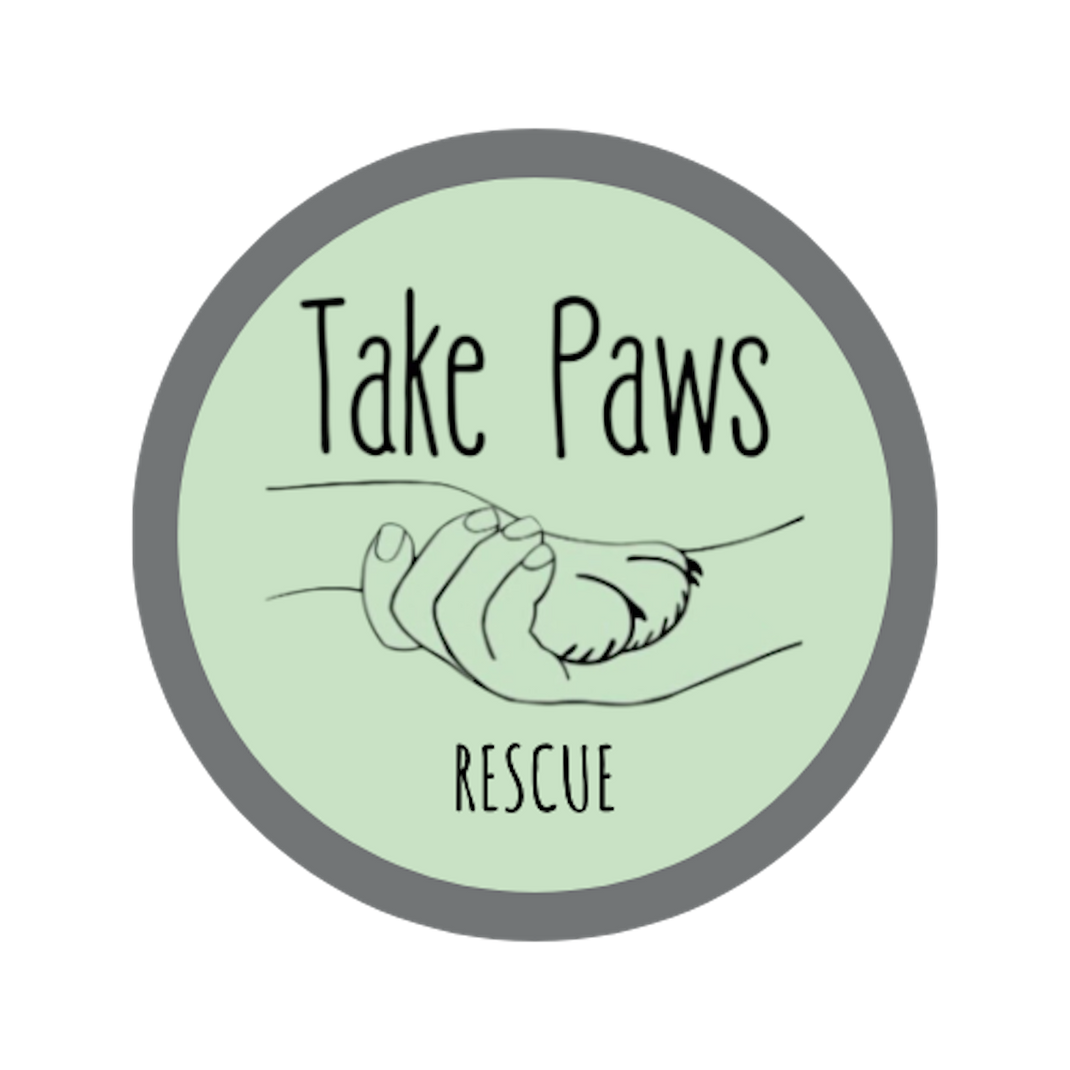 take-paws-rescue | The Animal Rescue Site