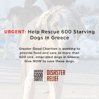 Help Rescue 600 Starving Dogs in Greece