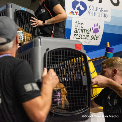 Help Clear the Shelters by Flying Pets to Freedom