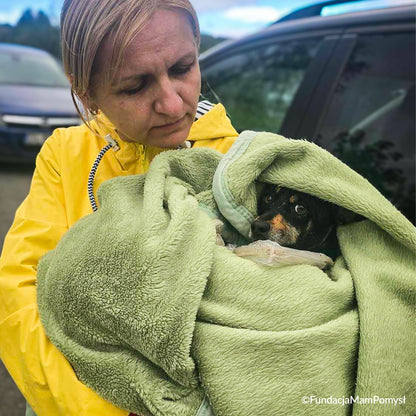 Send Desperately Needed Blankets to Homeless and Their Pets Before Winter