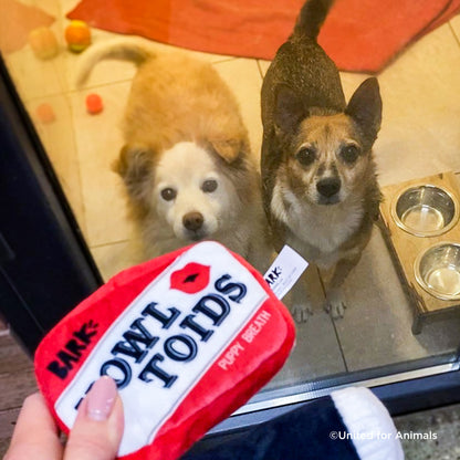 Send a Valentine & Love To a Shelter Fur Baby