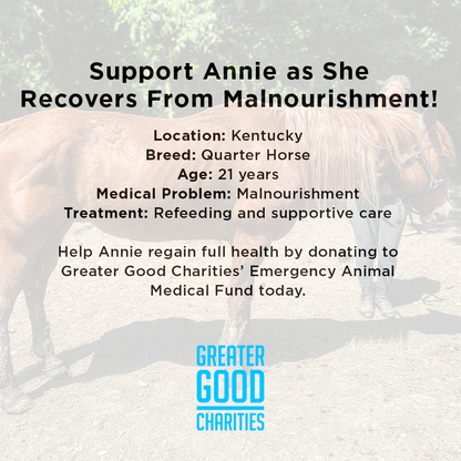 Support Annie as She Recovers From Malnourishment