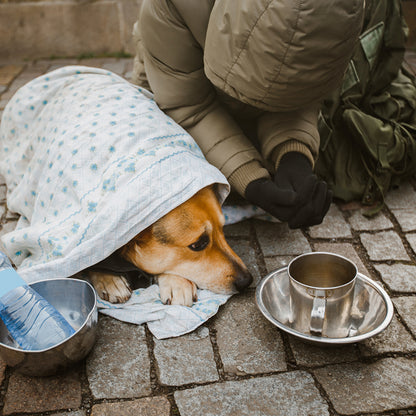 Send Desperately Needed Blankets to Homeless and Their Pets Before Winter