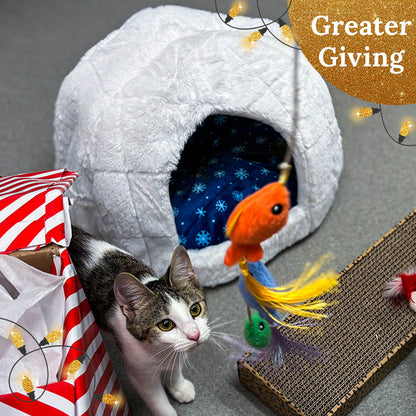 Send a Care Package to a Shelter Pet this Holiday Season