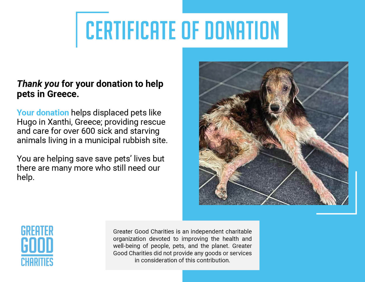 Funded: Heartworm-Positive Dog Found Starving At Dump Needs Us To Survive